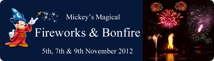 Fireworks and Bonfire